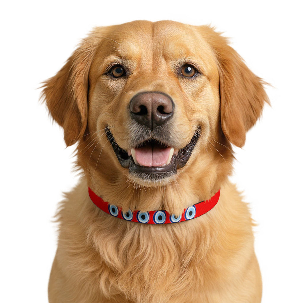 Clip-on Pet Collar