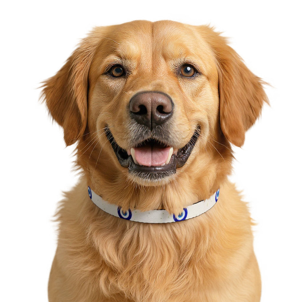 Clip-on Pet Collar