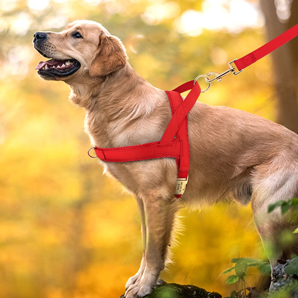 Personalized Dog Harness Leash Set No Pull