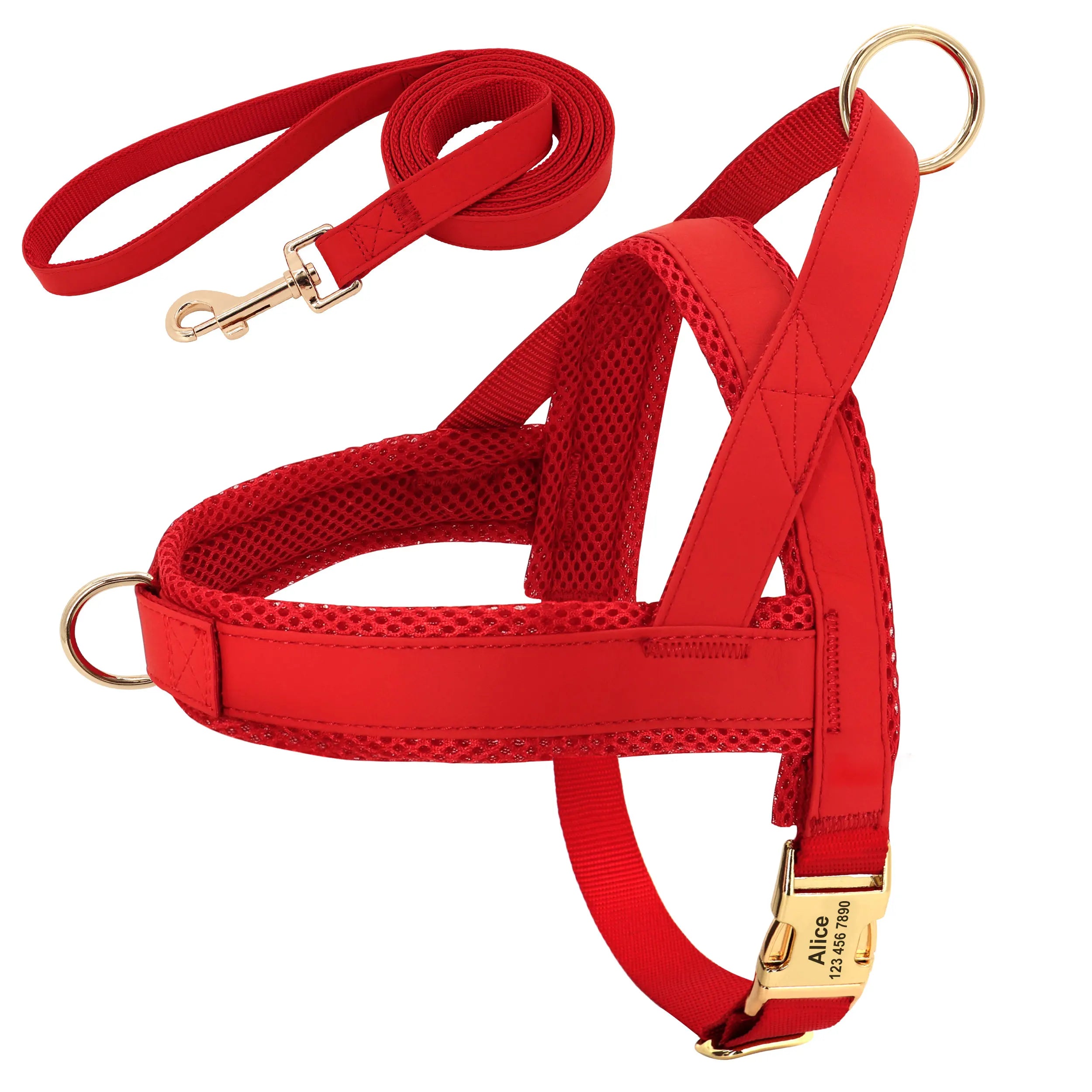 Personalized Dog Harness Leash Set No Pull