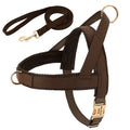 Personalized Dog Harness Leash Set No Pull