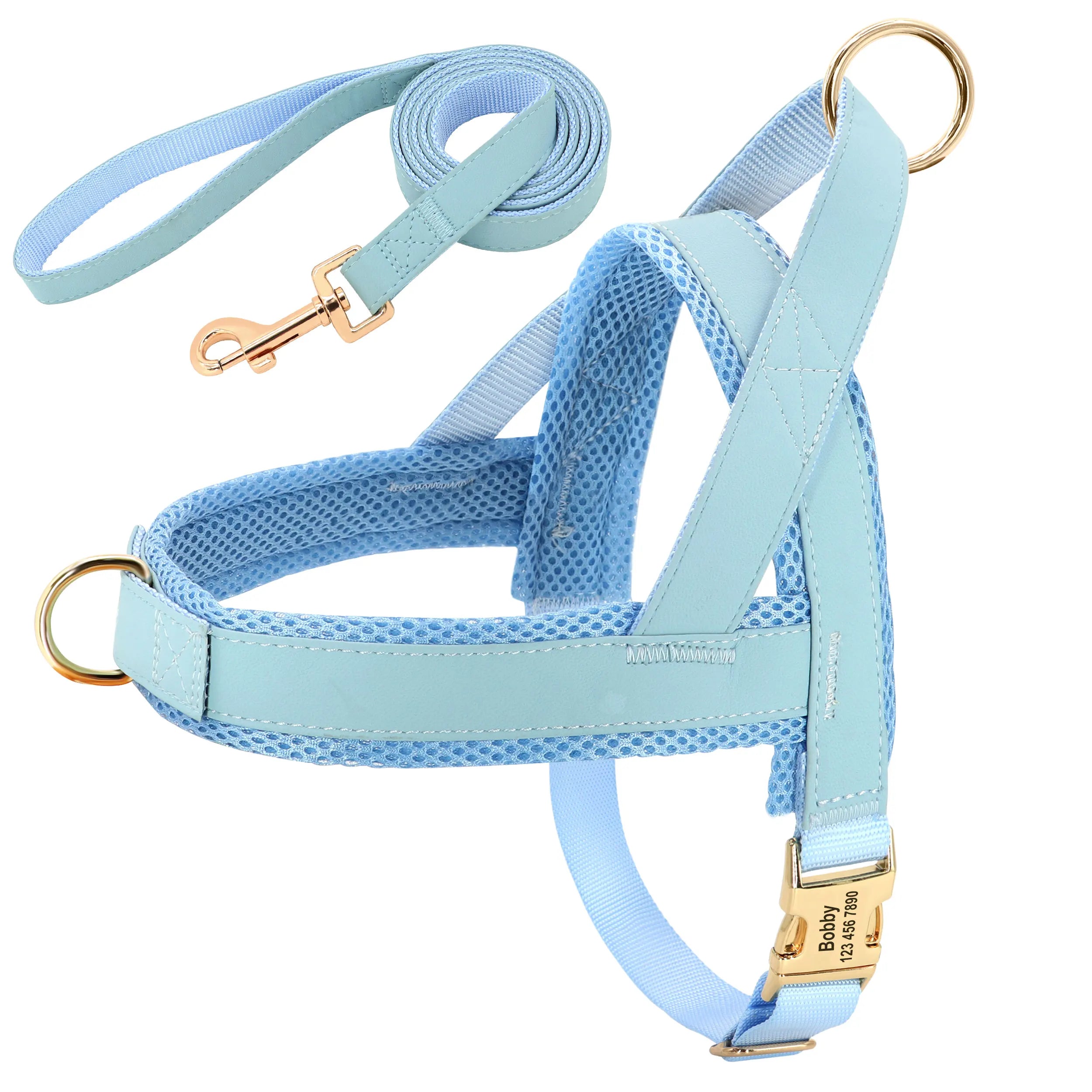 Personalized Dog Harness Leash Set No Pull