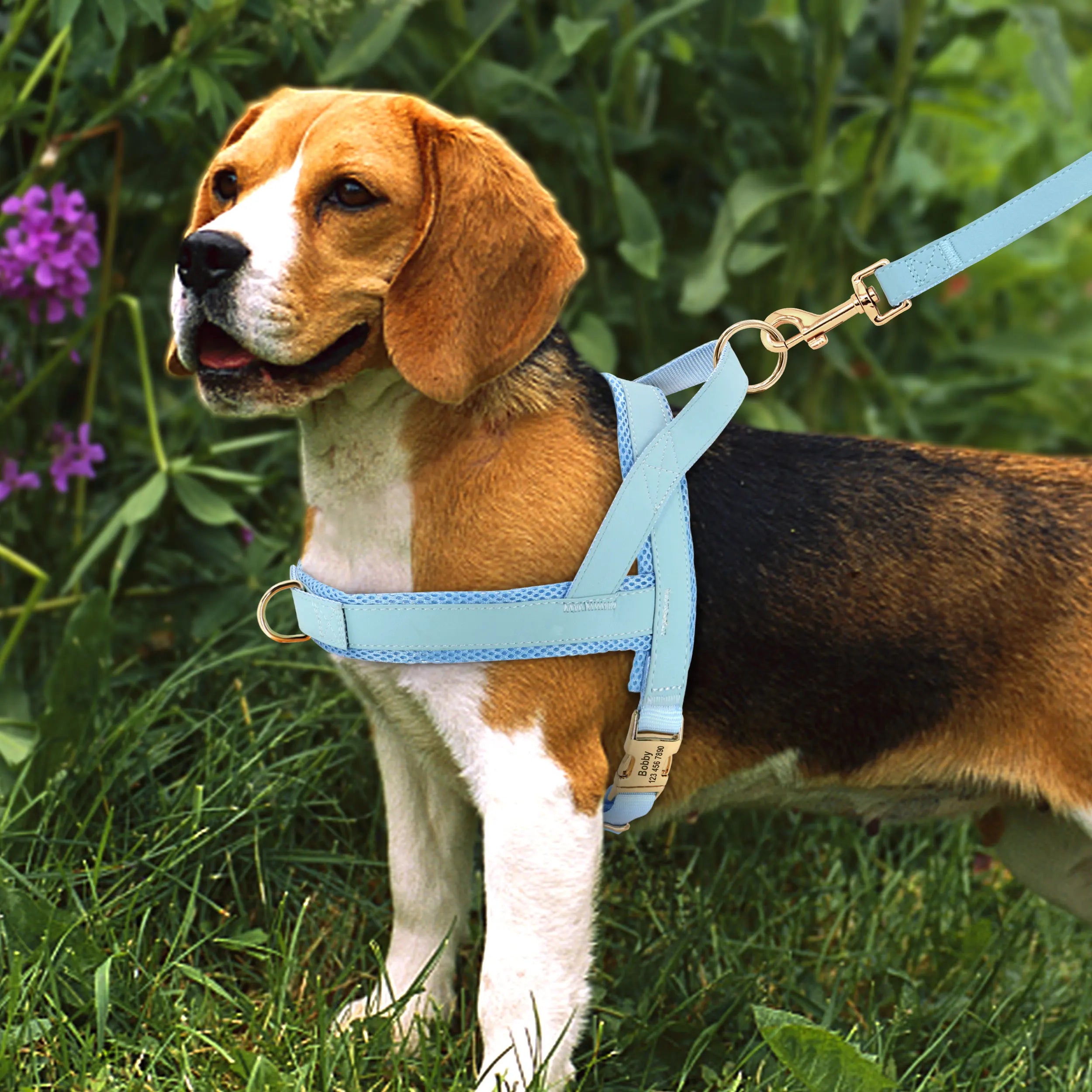 Personalized Dog Harness Leash Set No Pull