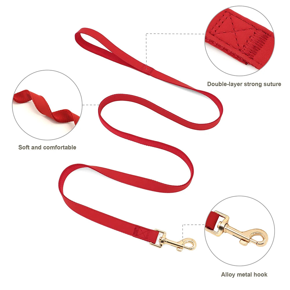 Personalized Dog Harness Leash Set No Pull