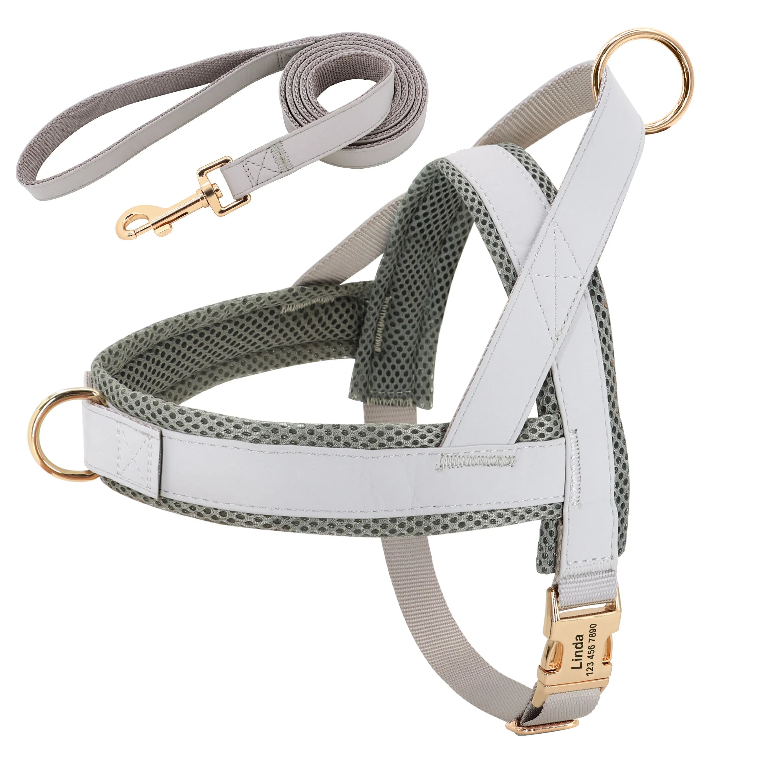 Personalized Dog Harness Leash Set No Pull