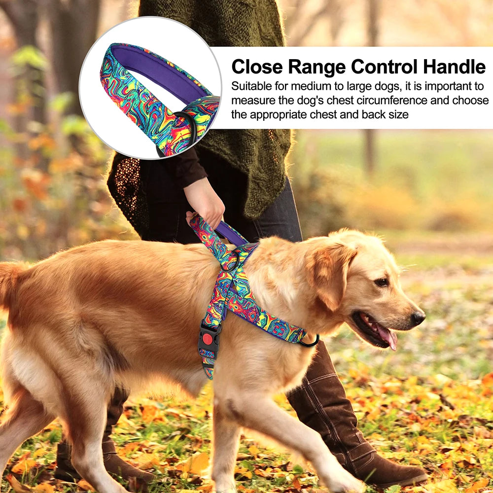 Dog Harness With Handle No Pull Dogs Vest Colorfull Print