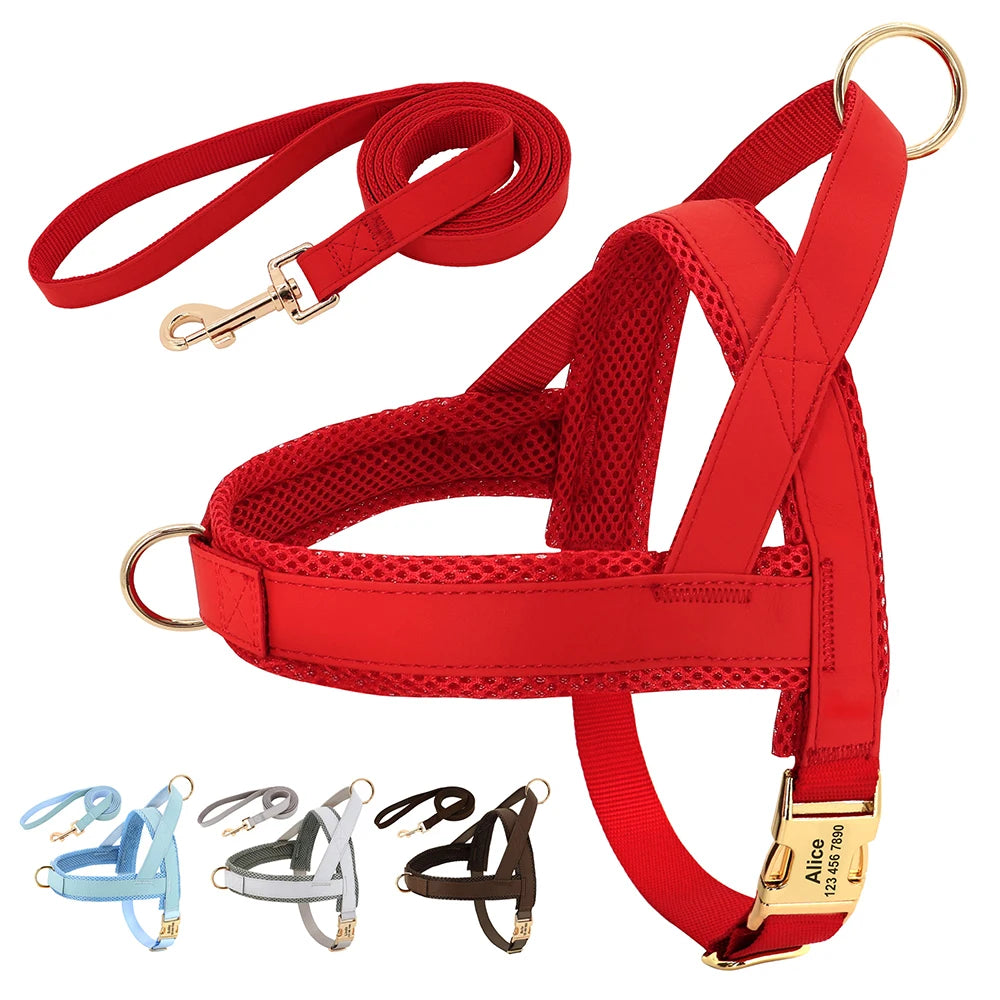 Personalized Dog Harness Leash Set No Pull
