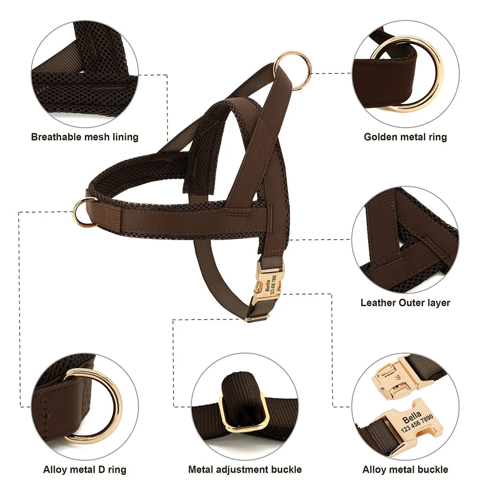 Personalized Dog Harness Leash Set No Pull