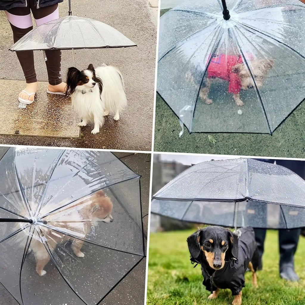 Multi functional pet leash transparent dog umbrella