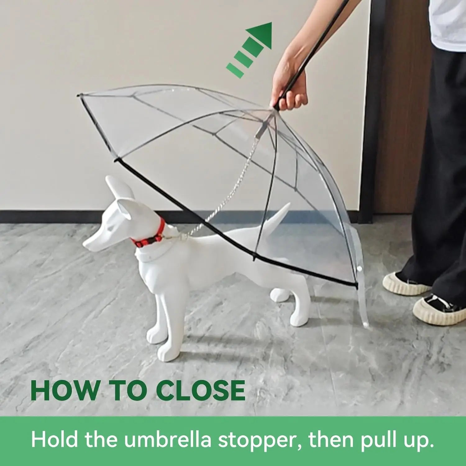 Multi functional pet leash transparent dog umbrella
