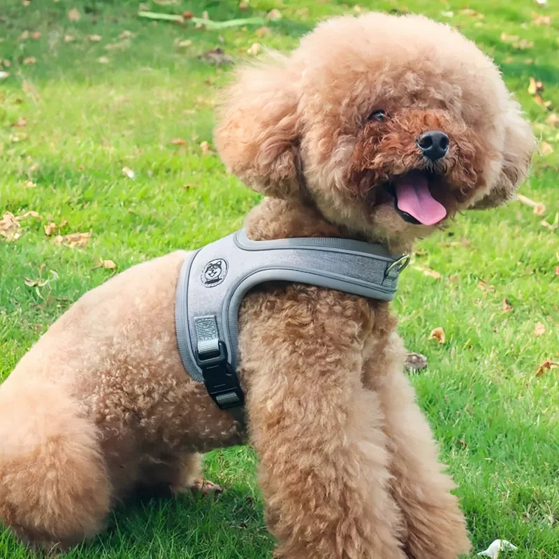 Dog Collars Pet Harness No Pull Adjustable