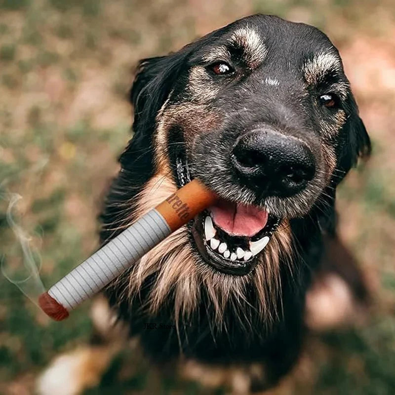 Funny Interactive Plush Dog Toys Creatives Cigarette Design